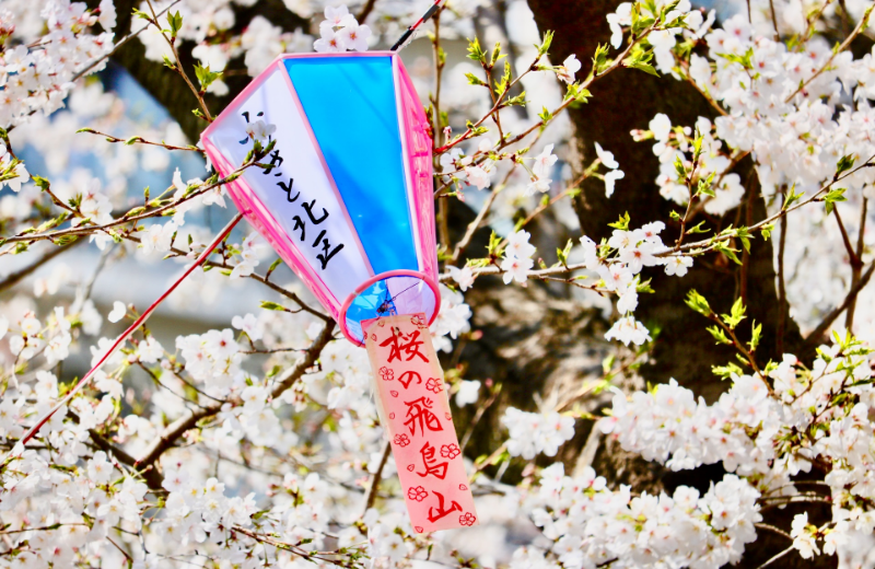 スライド写真4枚目